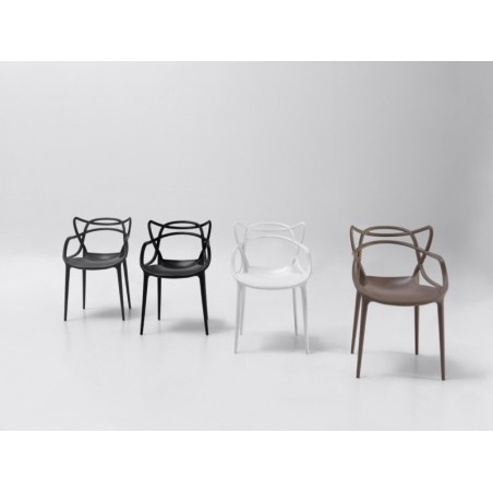Silla Comedor Diseño Modelo Popper - Varios Colores