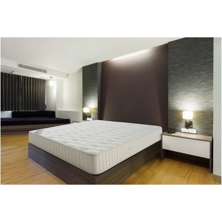 Colchon 19 cm Modelo Anatomic Visco
