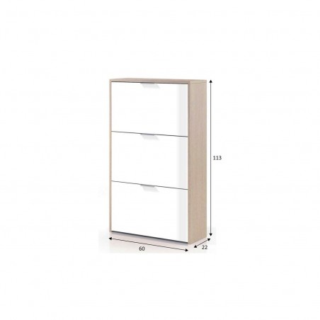 Zapatero 3 Puertas Roble-Blanco