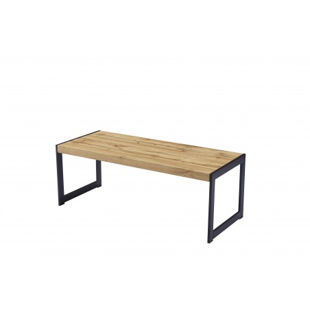 mesa de centro modelo rustico 120X50