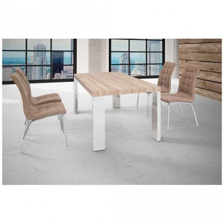 MESA DE COMEDOR RIPA MDF-ACERO INOXIDABLE 120x70