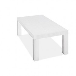 MESA DE CENTRO USAYA MDF-ACERO INOXIDABLE 120X60 VARIOS COLORES
