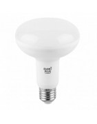 Especiales Led